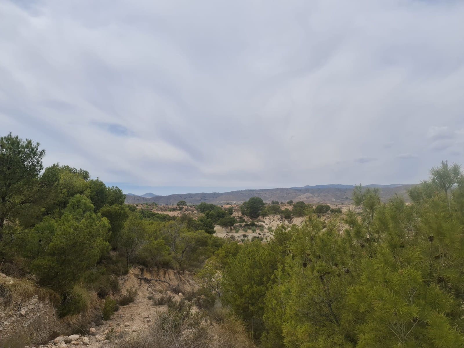 Building Plot for sale in Abanilla - € 72,900 (Ref: 9743098)