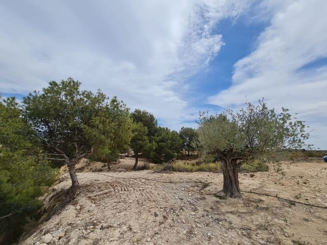 Building Plot for sale in Abanilla - € 72,900 (Ref: 9743098)