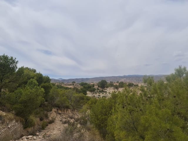 Building Plot for sale in Abanilla - € 72,900 (Ref: 9743098)