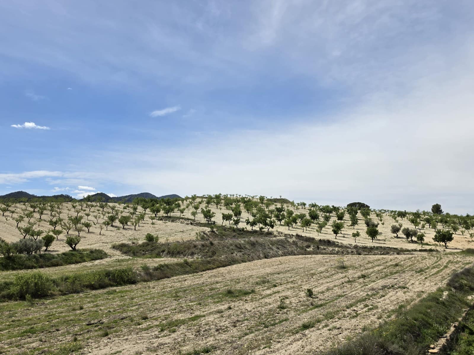 2 sypialnia Dom w skale na sprzedaż w La Zarza - 49 995 € (Ref: 9750860)