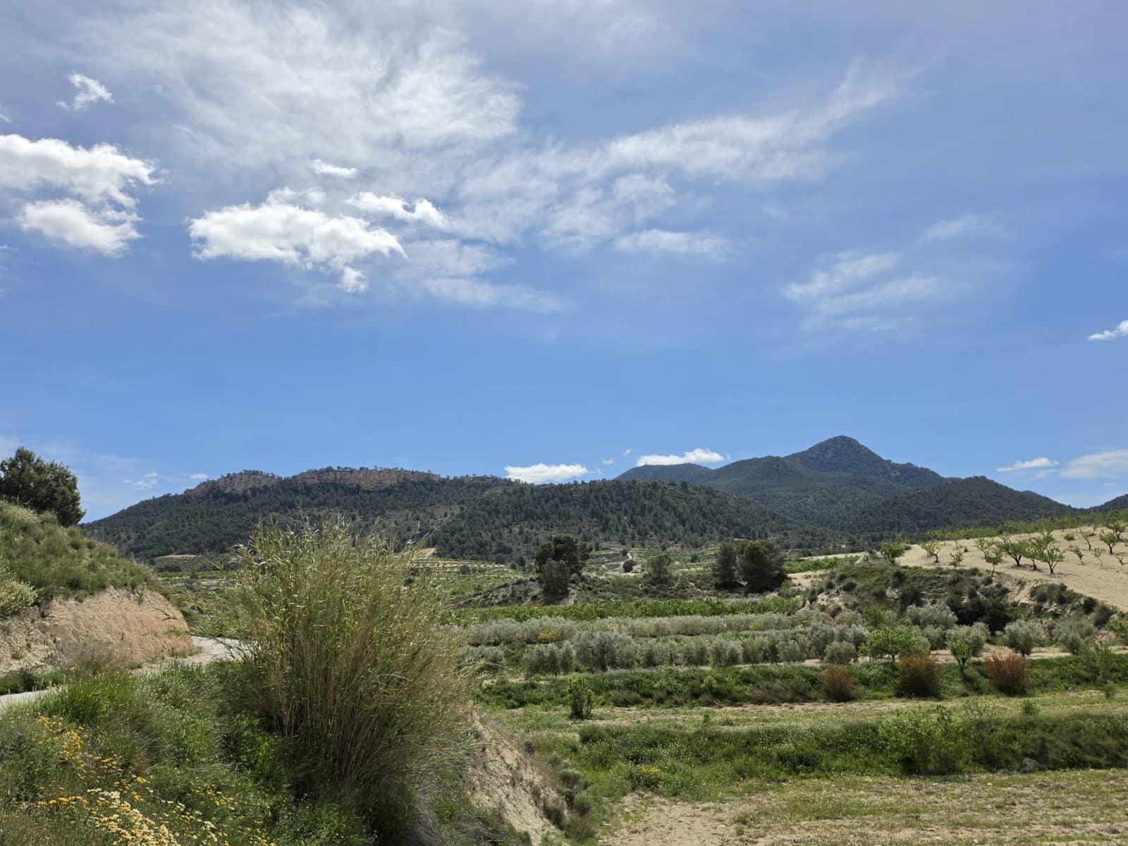 2 sypialnia Dom w skale na sprzedaż w La Zarza - 49 995 € (Ref: 9750860)