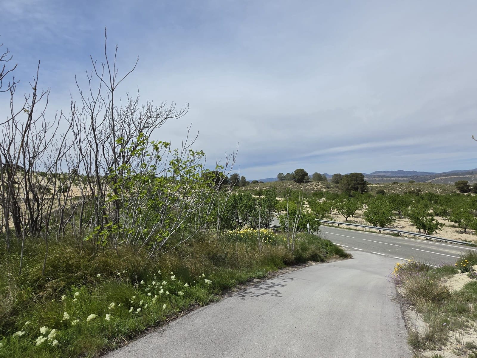 2 sypialnia Dom w skale na sprzedaż w La Zarza - 49 995 € (Ref: 9750860)