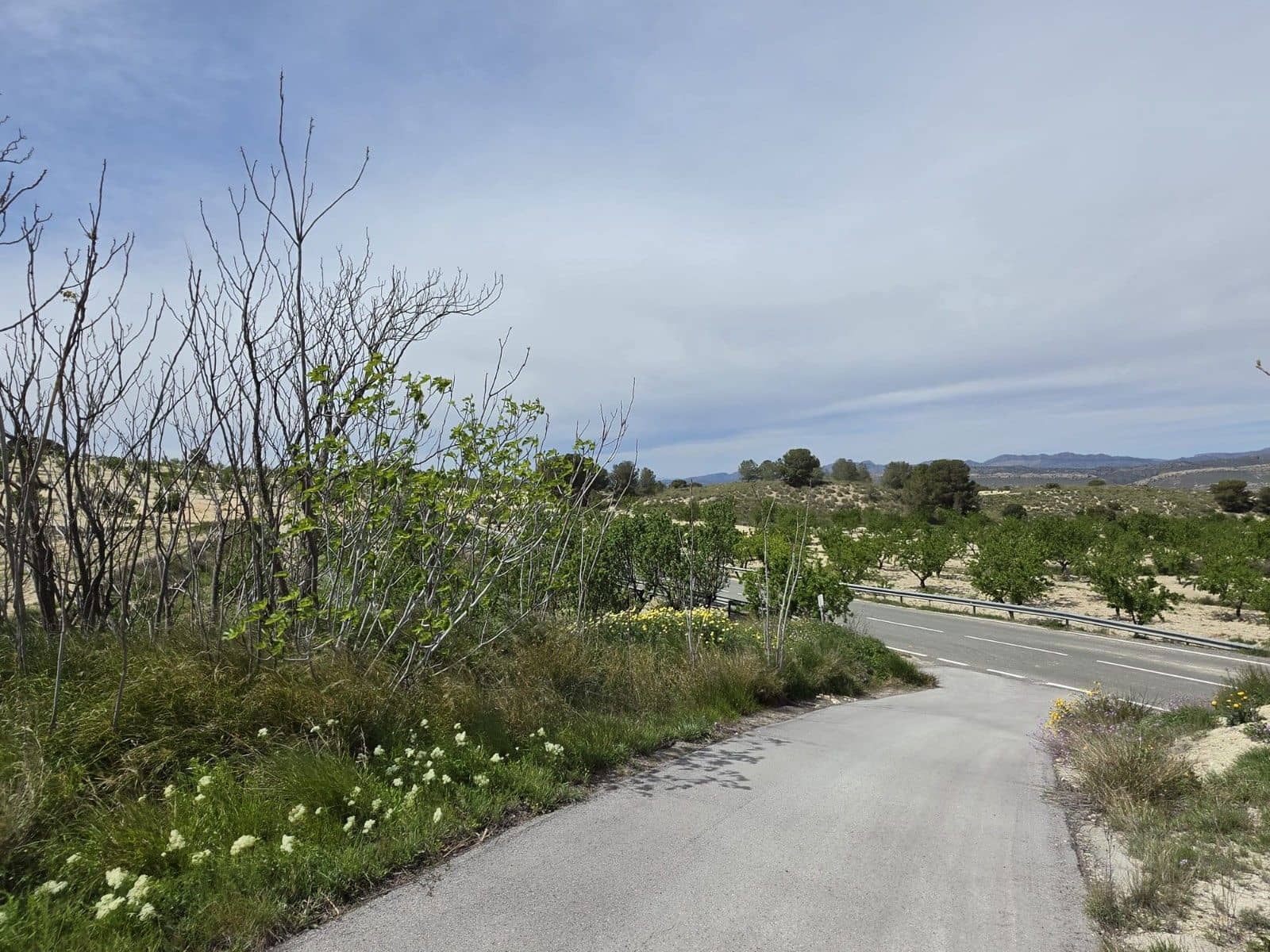 2 bedroom Cave House for sale in La Zarza - € 46,995 (Ref: 9750860)