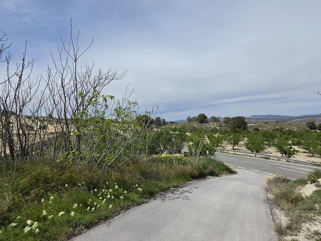 2 soverom Grottehus til salgs i La Zarza, Jumilla - € 46 995 (Ref: 9750860)