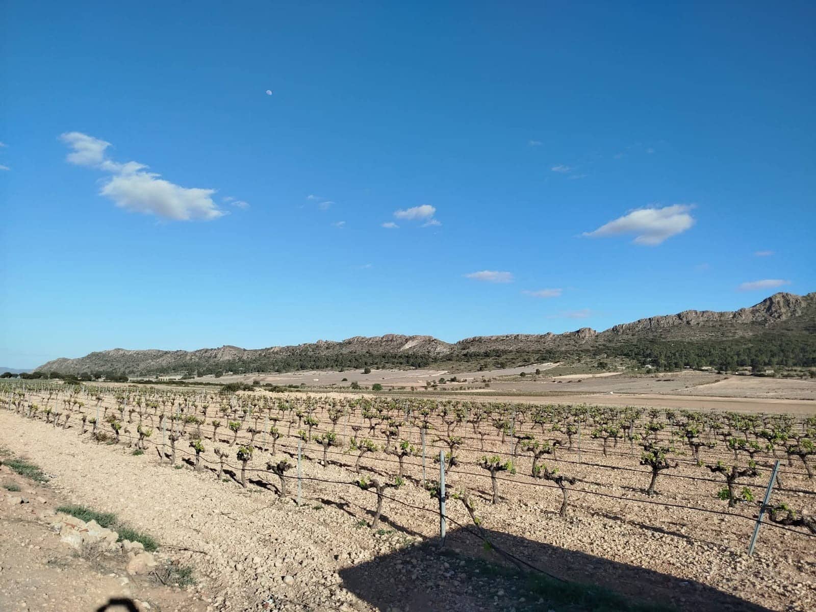 3 makuuhuone Maalaistalo myytävänä paikassa Yecla mukana uima-altaan - 160 000 € (Ref: 9755037)