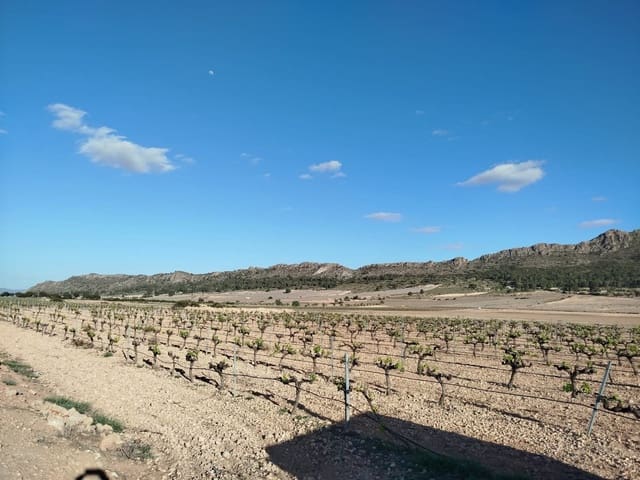 3 makuuhuone Maalaistalo myytävänä paikassa Yecla mukana uima-altaan - 160 000 € (Ref: 9755037)