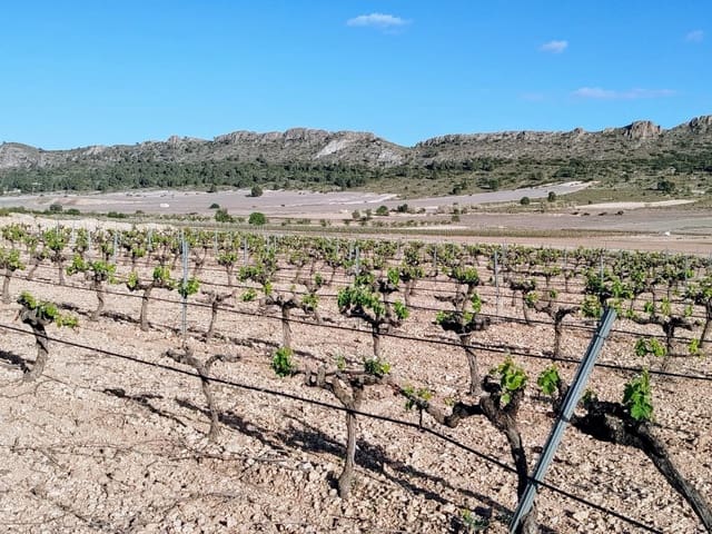 3 makuuhuone Maalaistalo myytävänä paikassa Yecla mukana uima-altaan - 160 000 € (Ref: 9755037)