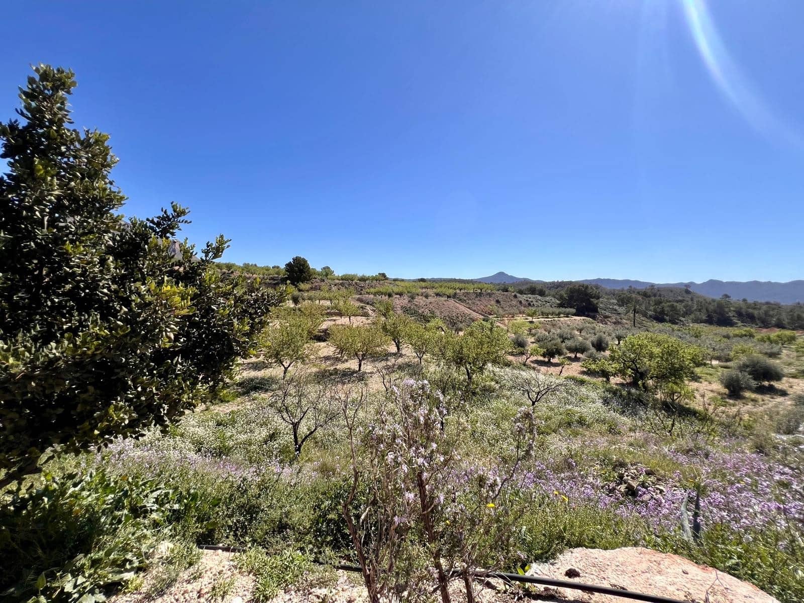 2 makuuhuone Luolatalo myytävänä paikassa Barinas - 119 000 € (Ref: 9758232)