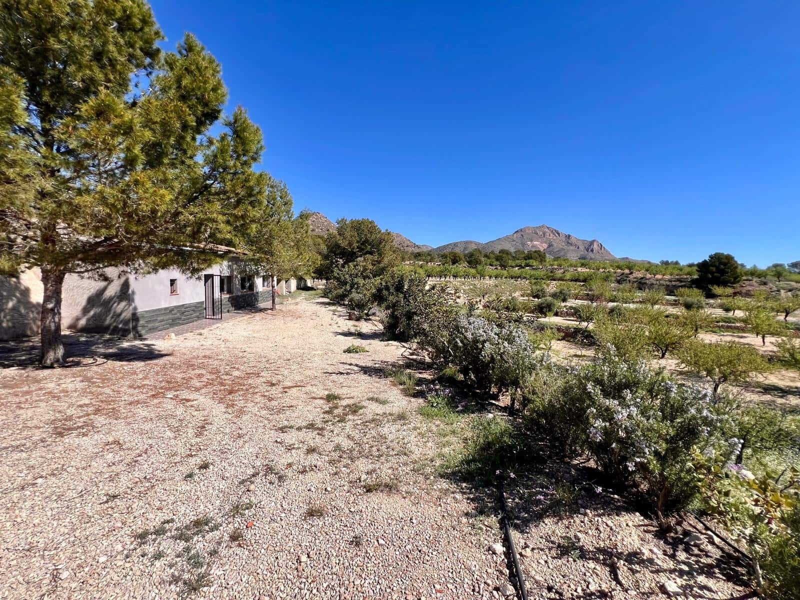 2 makuuhuone Luolatalo myytävänä paikassa Barinas - 119 000 € (Ref: 9758232)