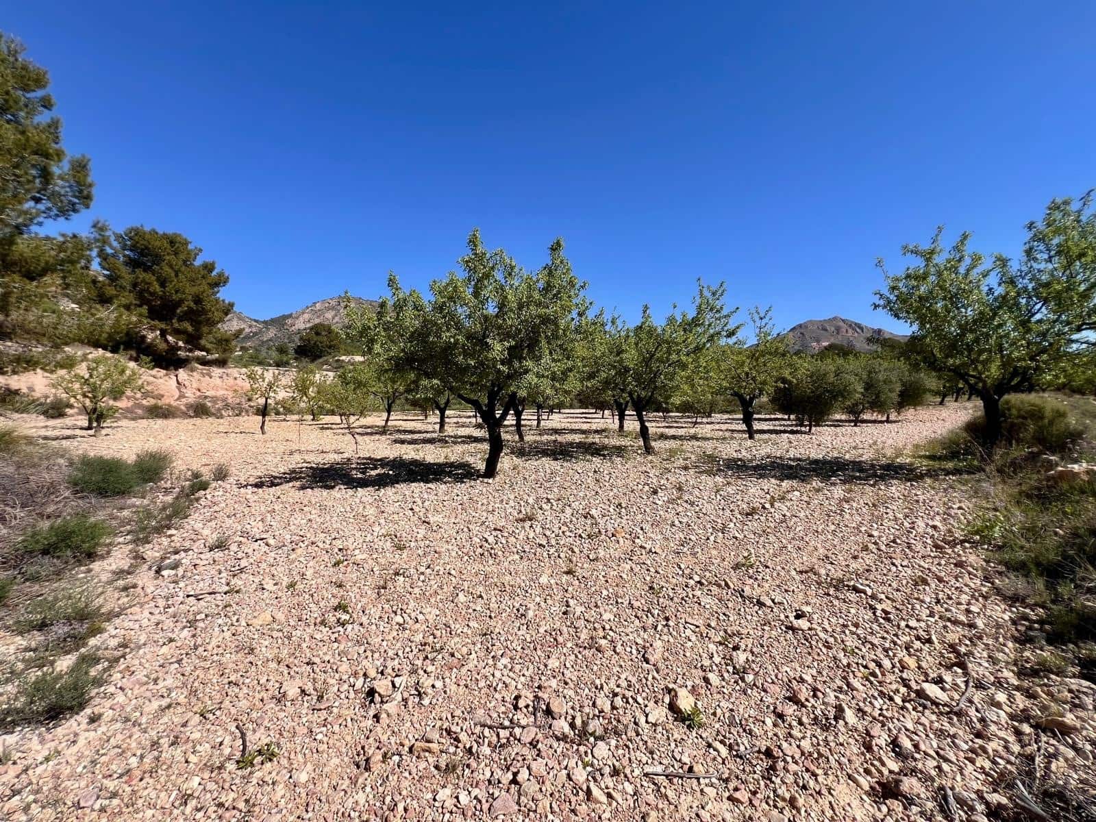 2 makuuhuone Luolatalo myytävänä paikassa Barinas - 119 000 € (Ref: 9758232)