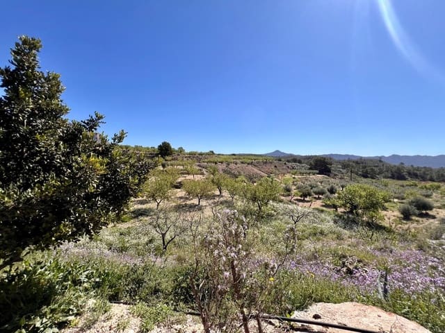 2 soverom Grottehus til salgs i Barinas, Abanilla - € 119 000 (Ref: 9758232)