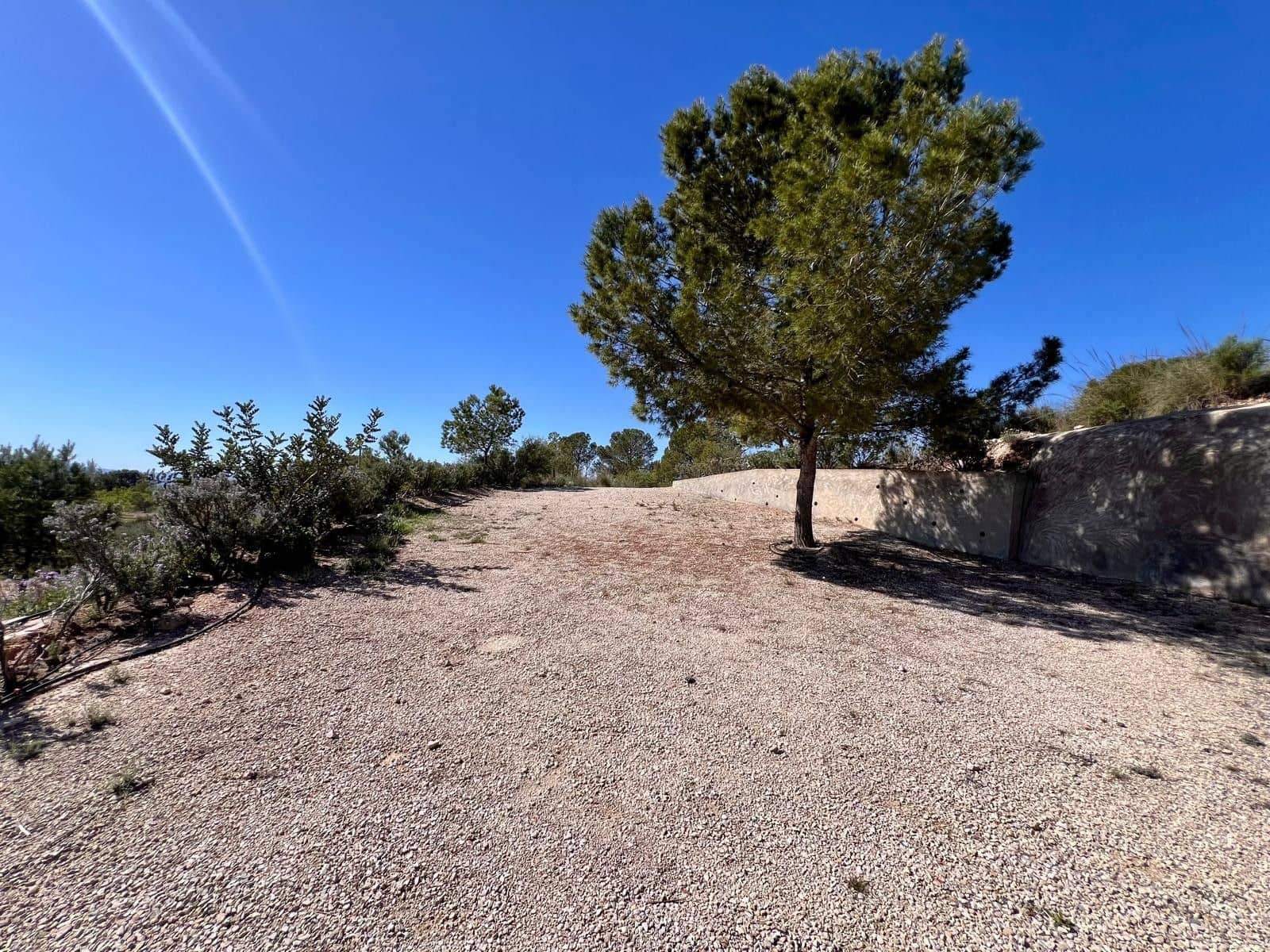 2 bedroom Cave House for sale in Barinas - € 119,000 (Ref: 9758232)