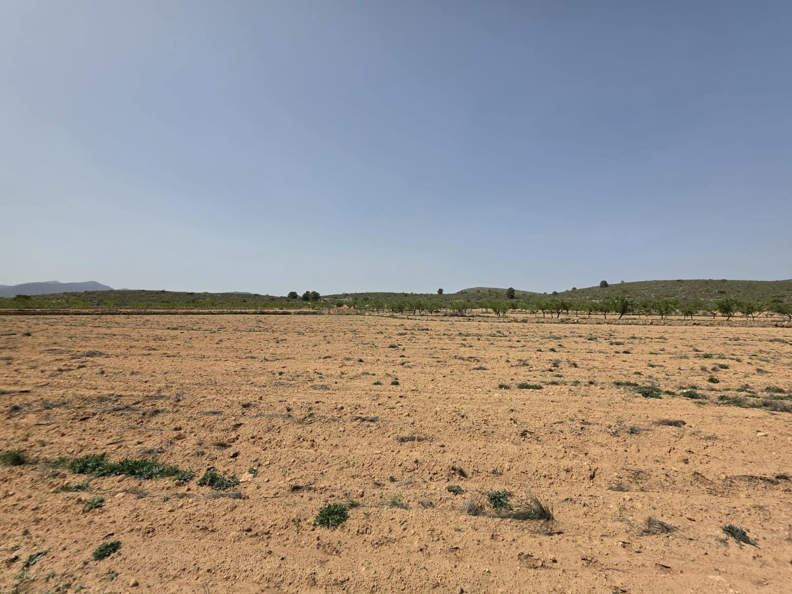 Mark till salu i Pinoso - 35 000 € (Ref: 9772592)