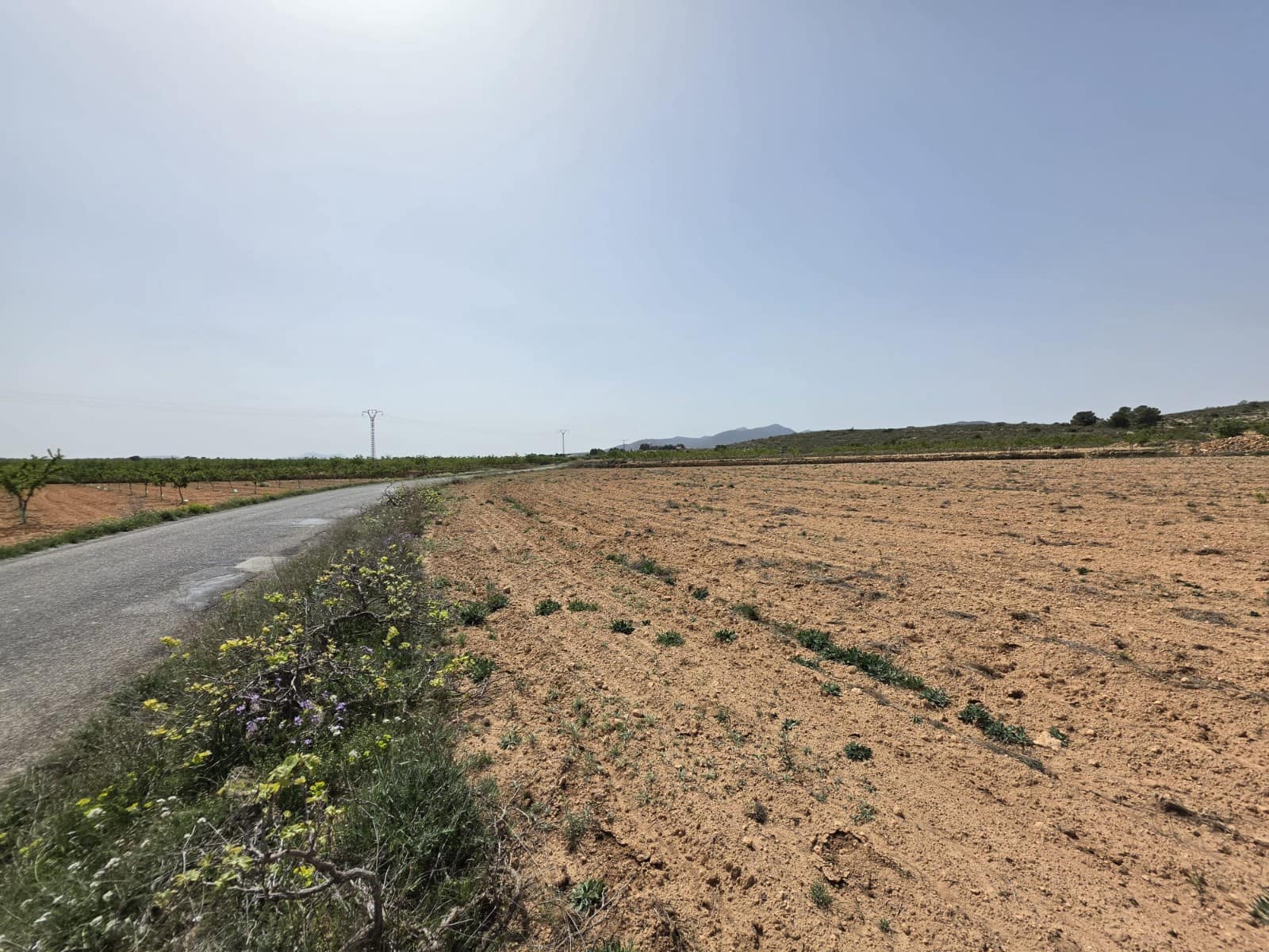 Mark till salu i Pinoso - 35 000 € (Ref: 9772592)