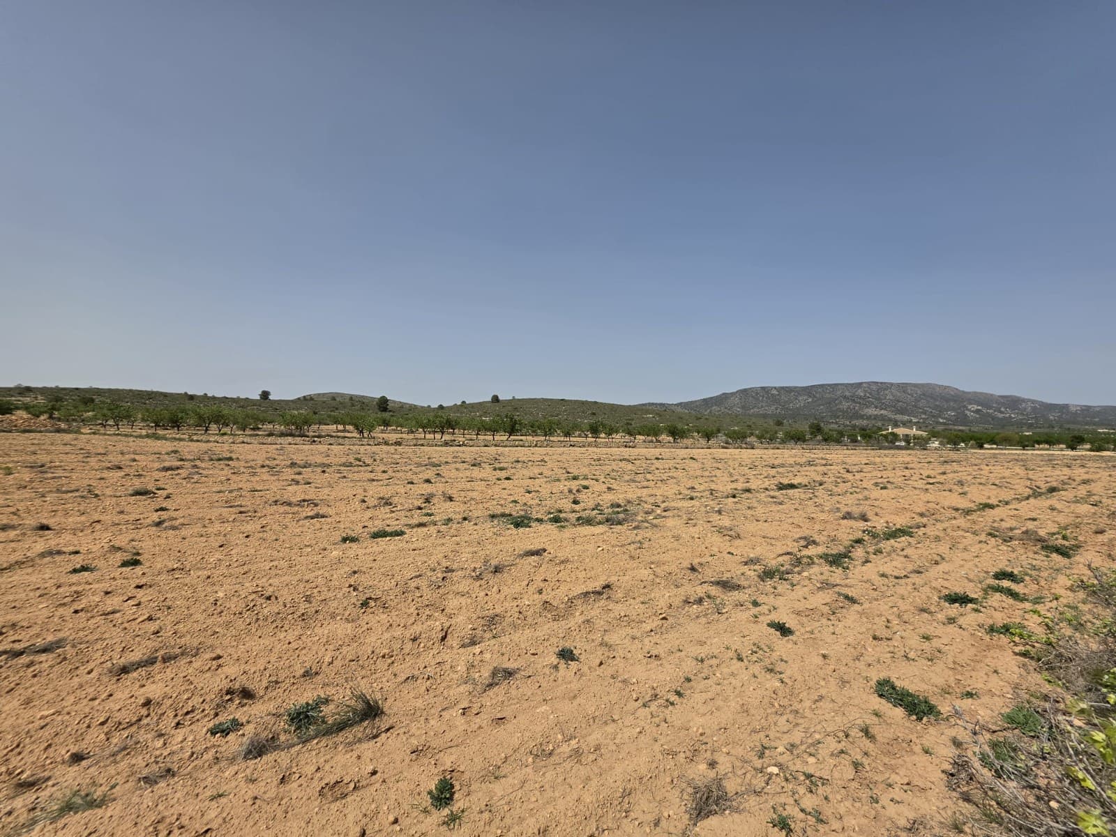 Mark till salu i Pinoso - 35 000 € (Ref: 9772592)