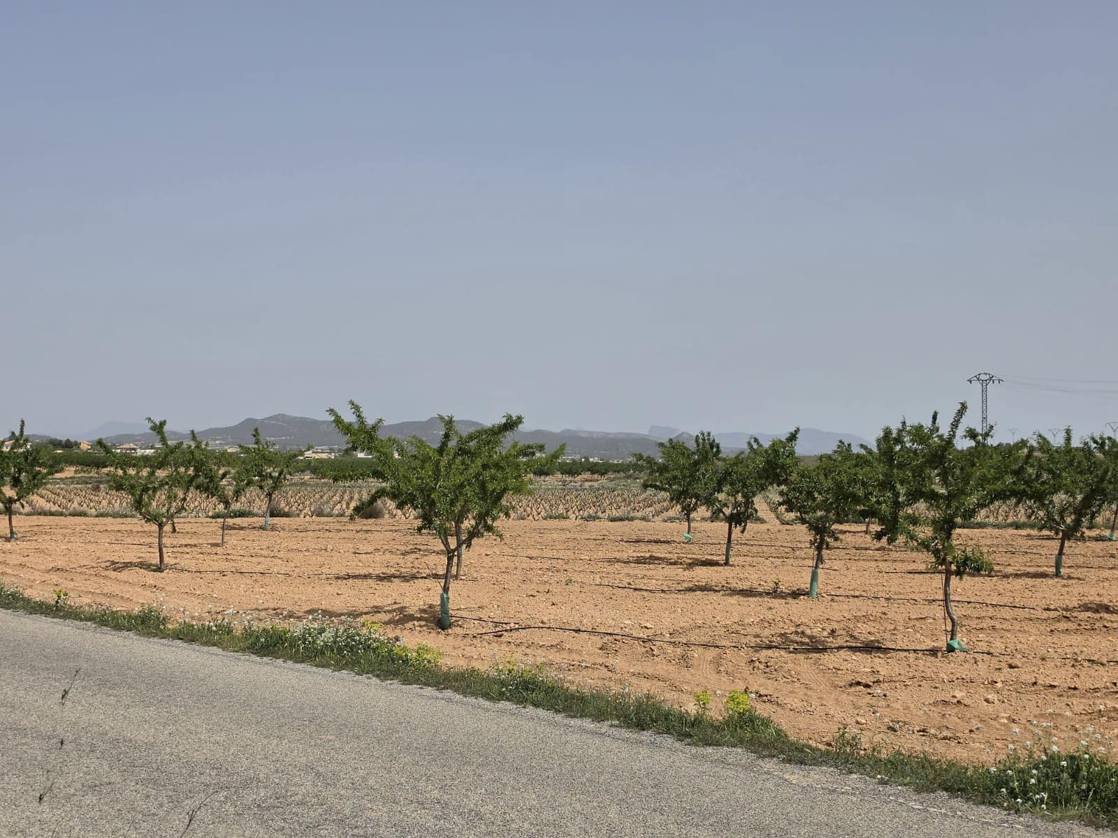 Mark till salu i Pinoso - 35 000 € (Ref: 9772592)