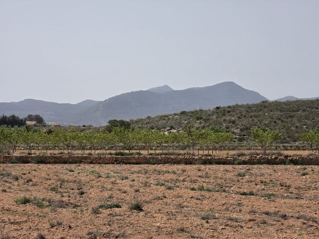 Mark till salu i Pinoso - 35 000 € (Ref: 9772592)