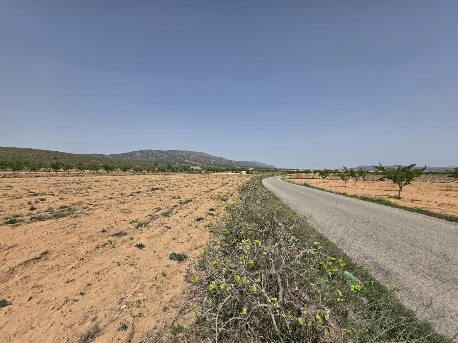 Mark till salu i Pinoso - 35 000 € (Ref: 9772592)