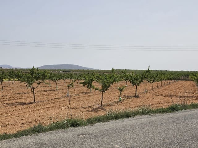 Mark till salu i Pinoso - 35 000 € (Ref: 9772592)