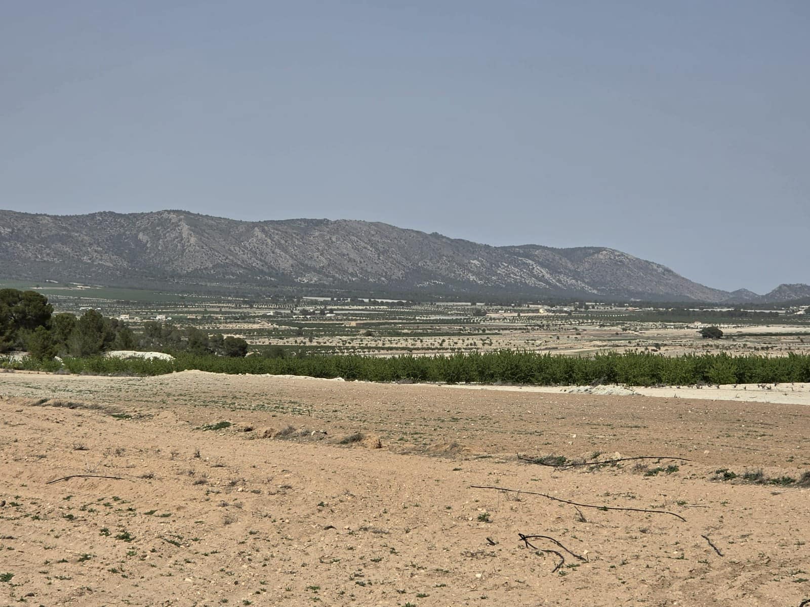 Terreno Non Edificato in vendita in Pinoso - 35.995 € (Rif: 9773000)