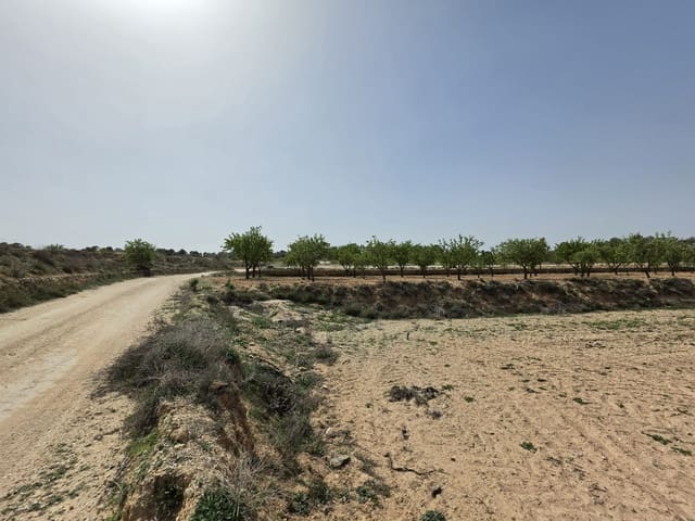 Mark till salu i Ubeda, Pinoso - 35 995 € (Ref: 9773000)