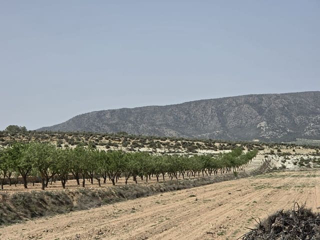 Mark till salu i Ubeda, Pinoso - 35 995 € (Ref: 9773000)