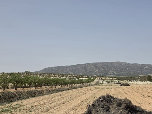 Mark till salu i Ubeda, Pinoso - 35 995 € (Ref: 9773000)