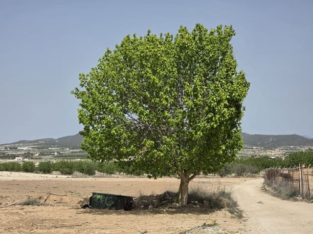 Mark till salu i Ubeda, Pinoso - 35 995 € (Ref: 9773000)