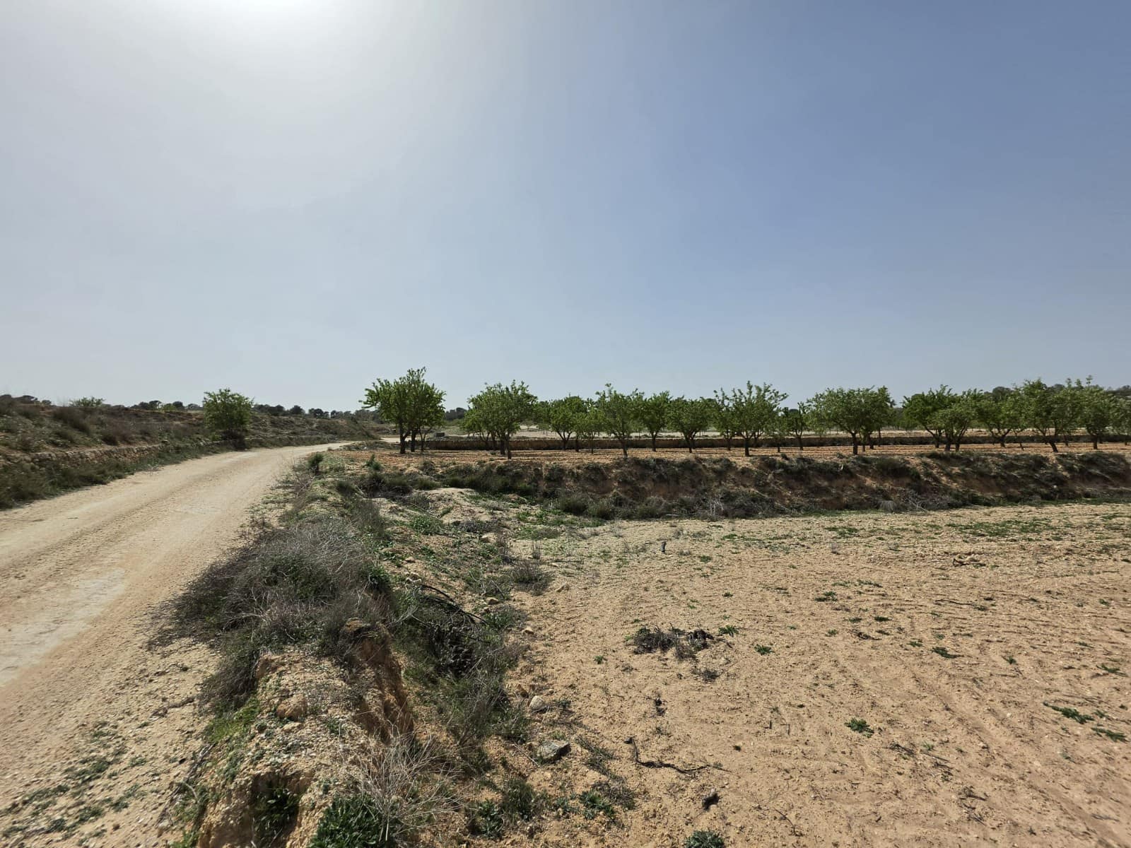 Terre non Aménagée à vendre à Pinoso - 35 995 € (Ref: 9773000)