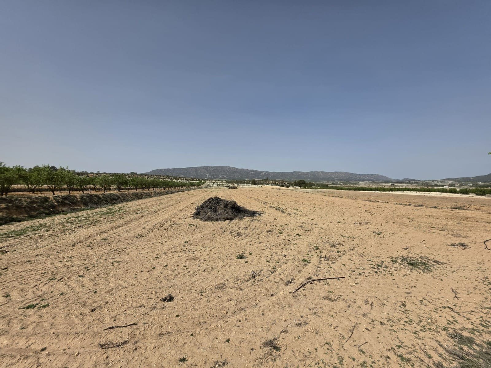 Terre non Aménagée à vendre à Pinoso - 35 995 € (Ref: 9773000)