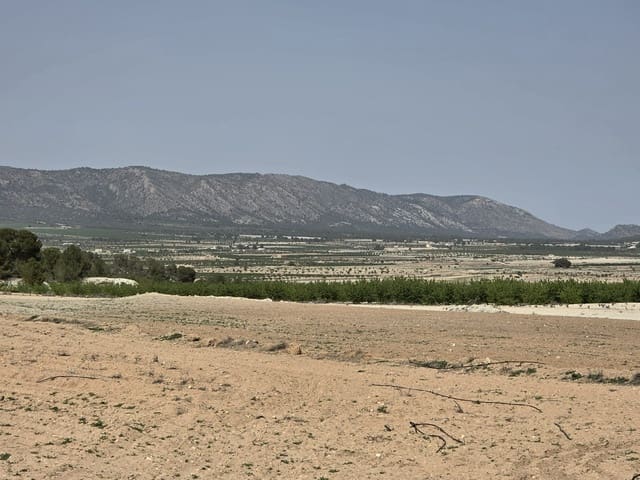 Terre non Aménagée à vendre à Ubeda, Pinoso - 35 995 € (Ref: 9773000)