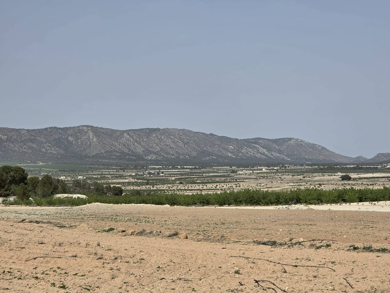 Terre non Aménagée à vendre à Pinoso - 35 995 € (Ref: 9773000)
