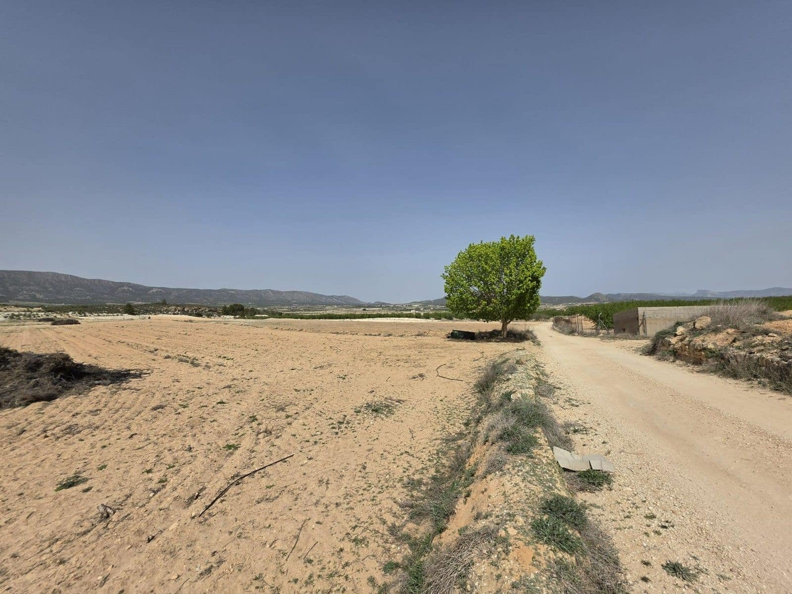 Undeveloped Land for sale in Pinoso - € 35,995 (Ref: 9773000)