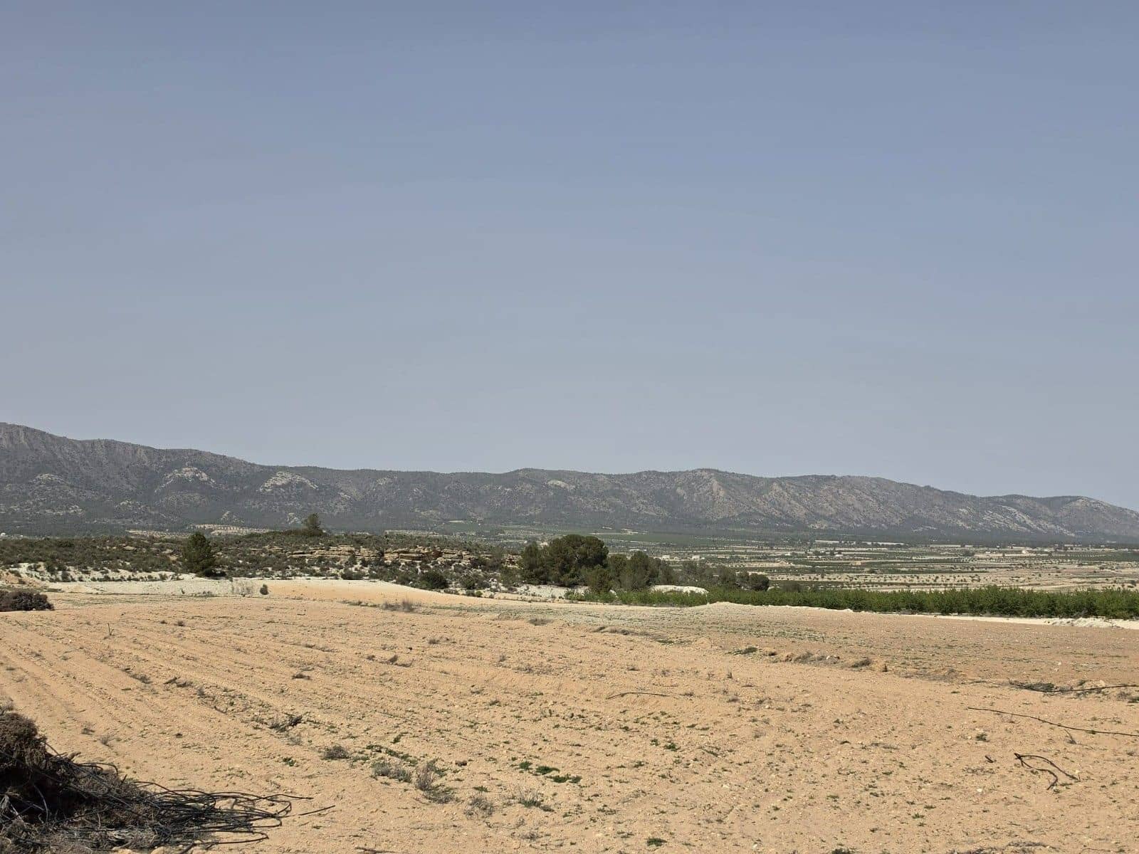 Undeveloped Land for sale in Pinoso - € 35,995 (Ref: 9773000)