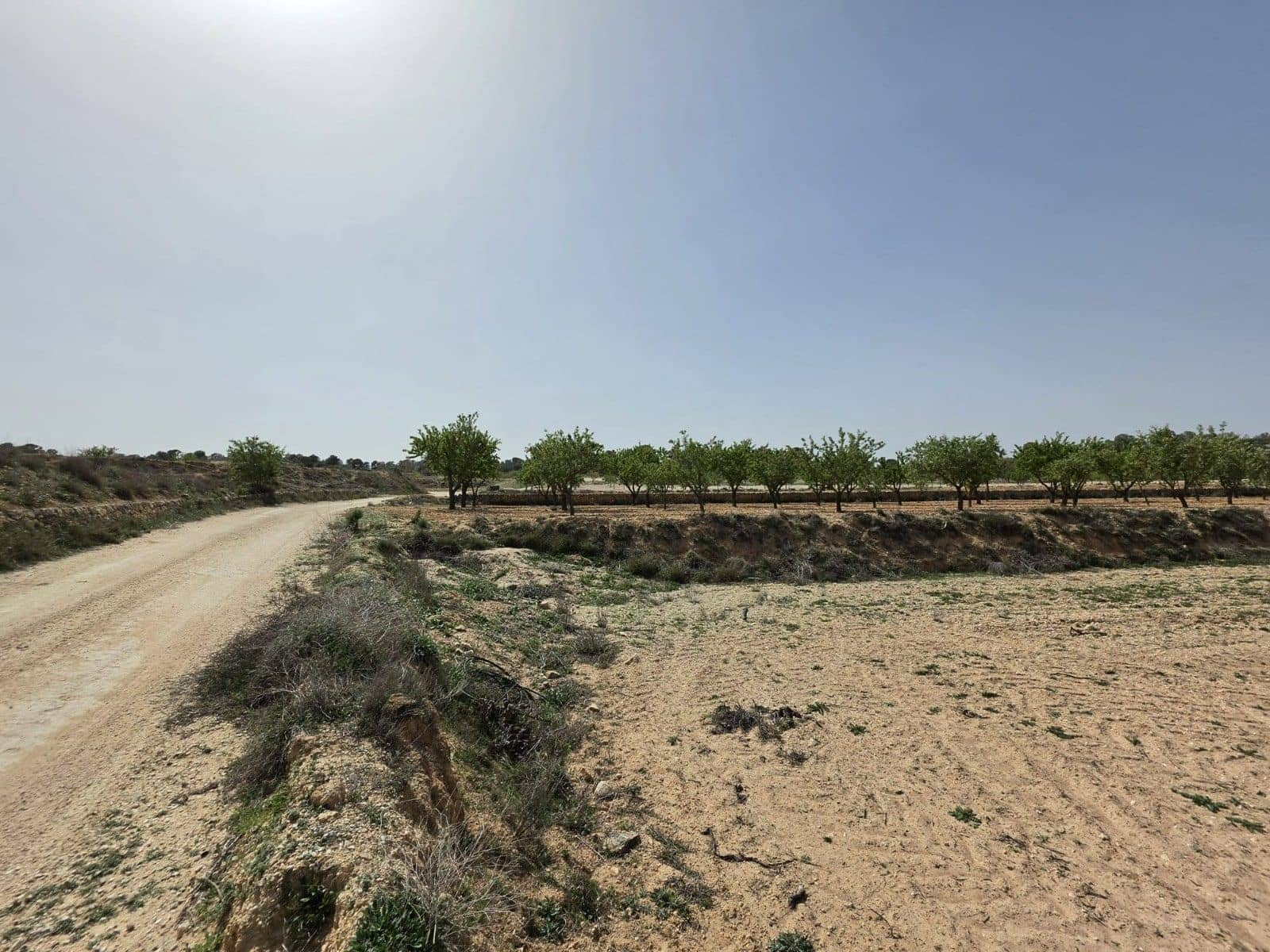 Undeveloped Land for sale in Pinoso - € 35,995 (Ref: 9773000)