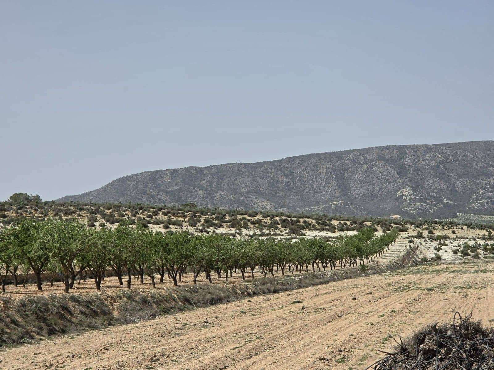 Undeveloped Land for sale in Pinoso - € 35,995 (Ref: 9773000)