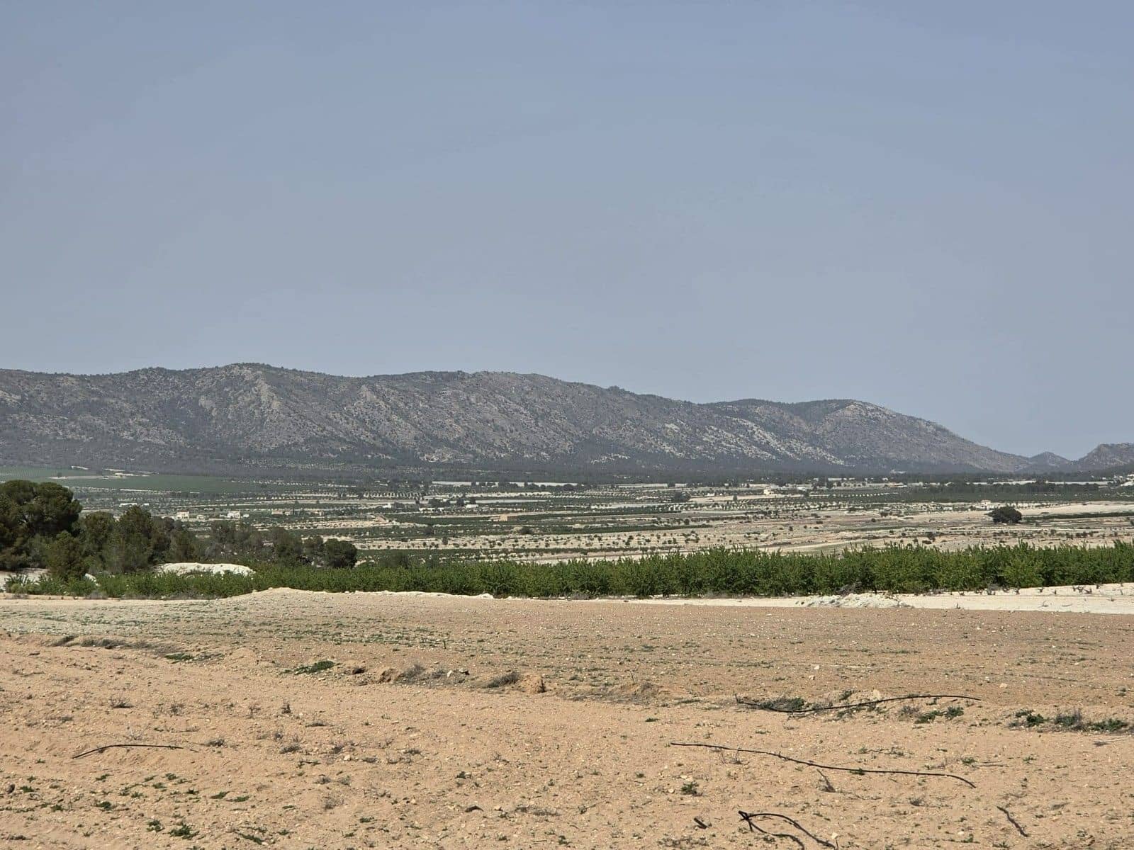 Undeveloped Land for sale in Pinoso - € 35,995 (Ref: 9773000)
