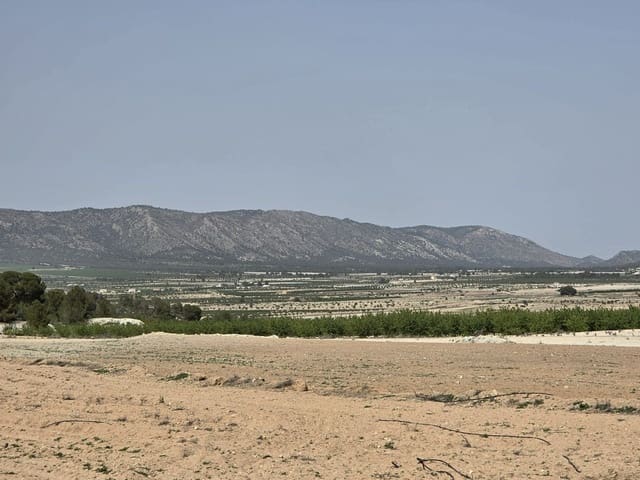 Undeveloped Land for sale in Ubeda, Pinoso - € 35,995 (Ref: 9773000)