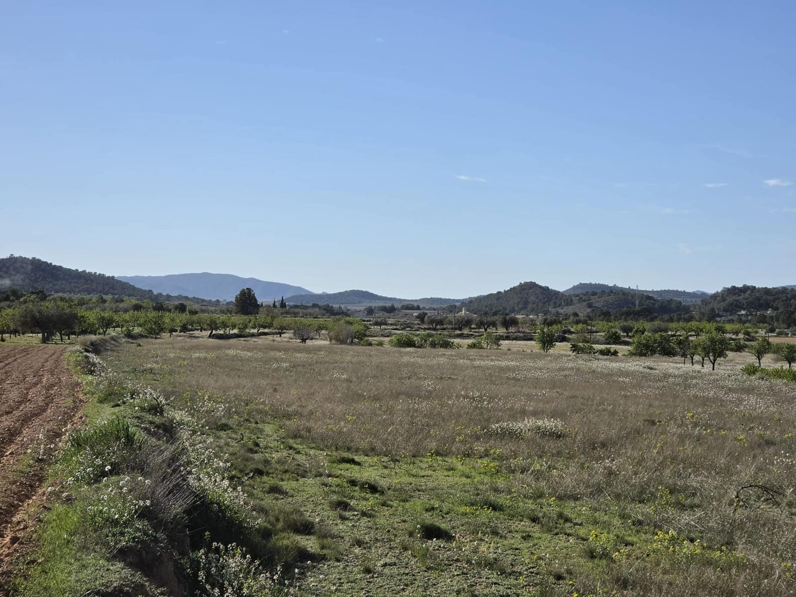 Rakentamaton maa myytävänä paikassa Monovar / Monover - 44 995 € (Ref: 9773366)