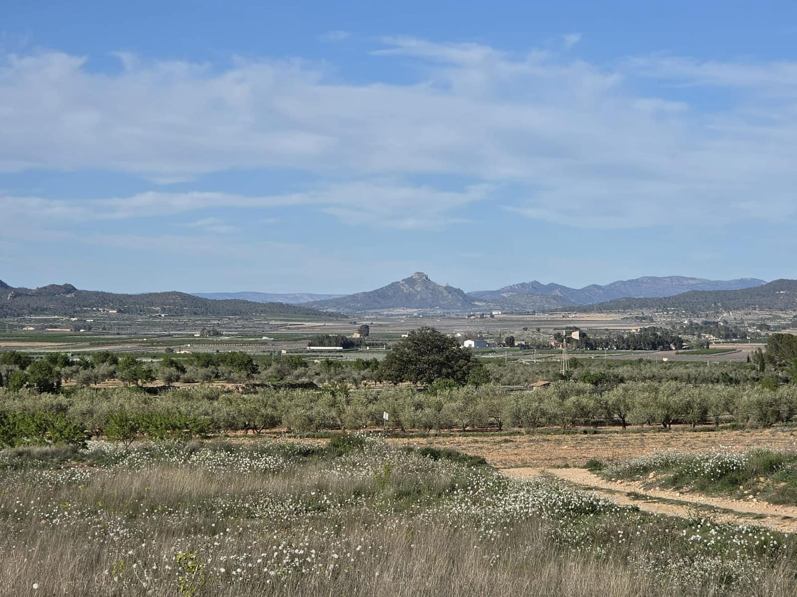 Rakentamaton maa myytävänä paikassa Monovar / Monover - 44 995 € (Ref: 9773366)