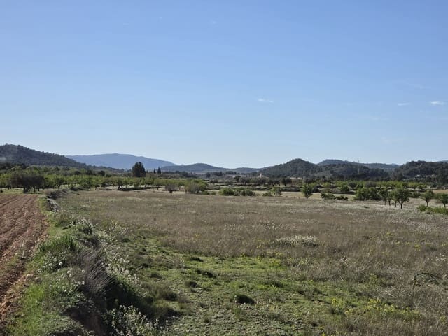 Rakentamaton maa myytävänä paikassa Monóvar / Monóver - 44 995 € (Ref: 9773366)