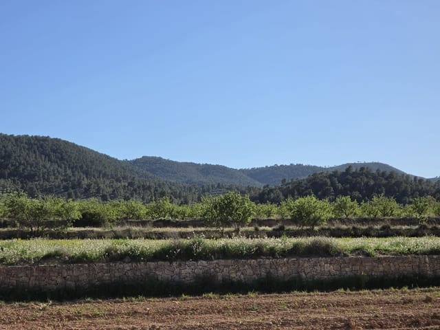 Rakentamaton maa myytävänä paikassa Monóvar / Monóver - 44 995 € (Ref: 9773366)