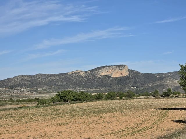 Rakentamaton maa myytävänä paikassa Monóvar / Monóver - 44 995 € (Ref: 9773366)