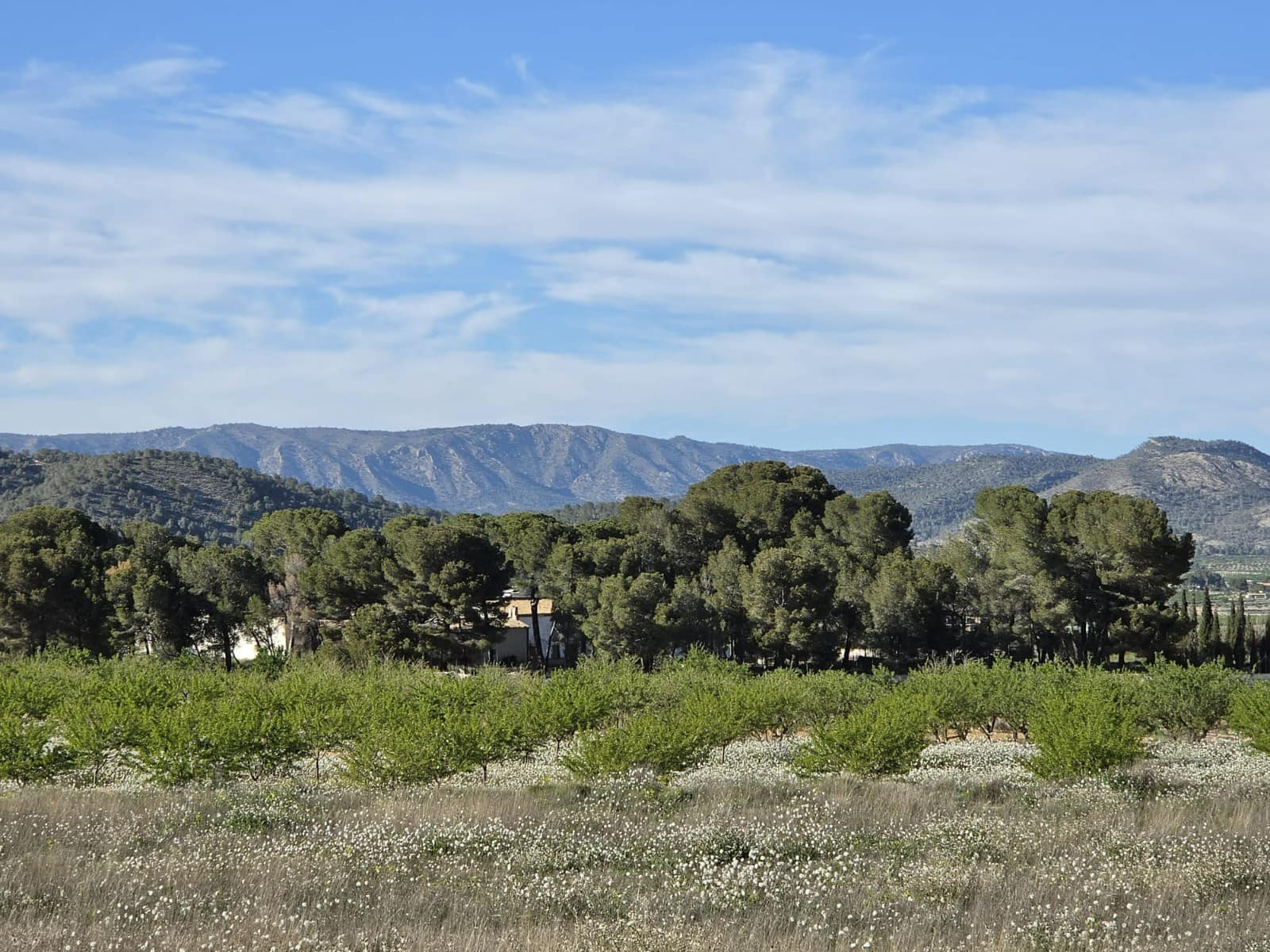 Rakentamaton maa myytävänä paikassa Monovar / Monover - 44 995 € (Ref: 9773366)