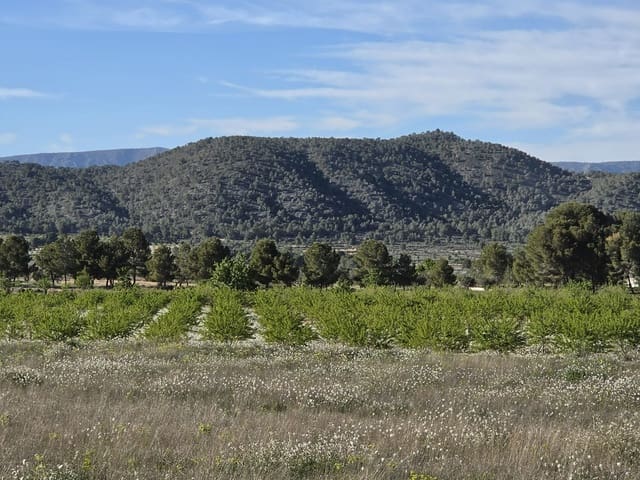 Rakentamaton maa myytävänä paikassa Monóvar / Monóver - 44 995 € (Ref: 9773366)