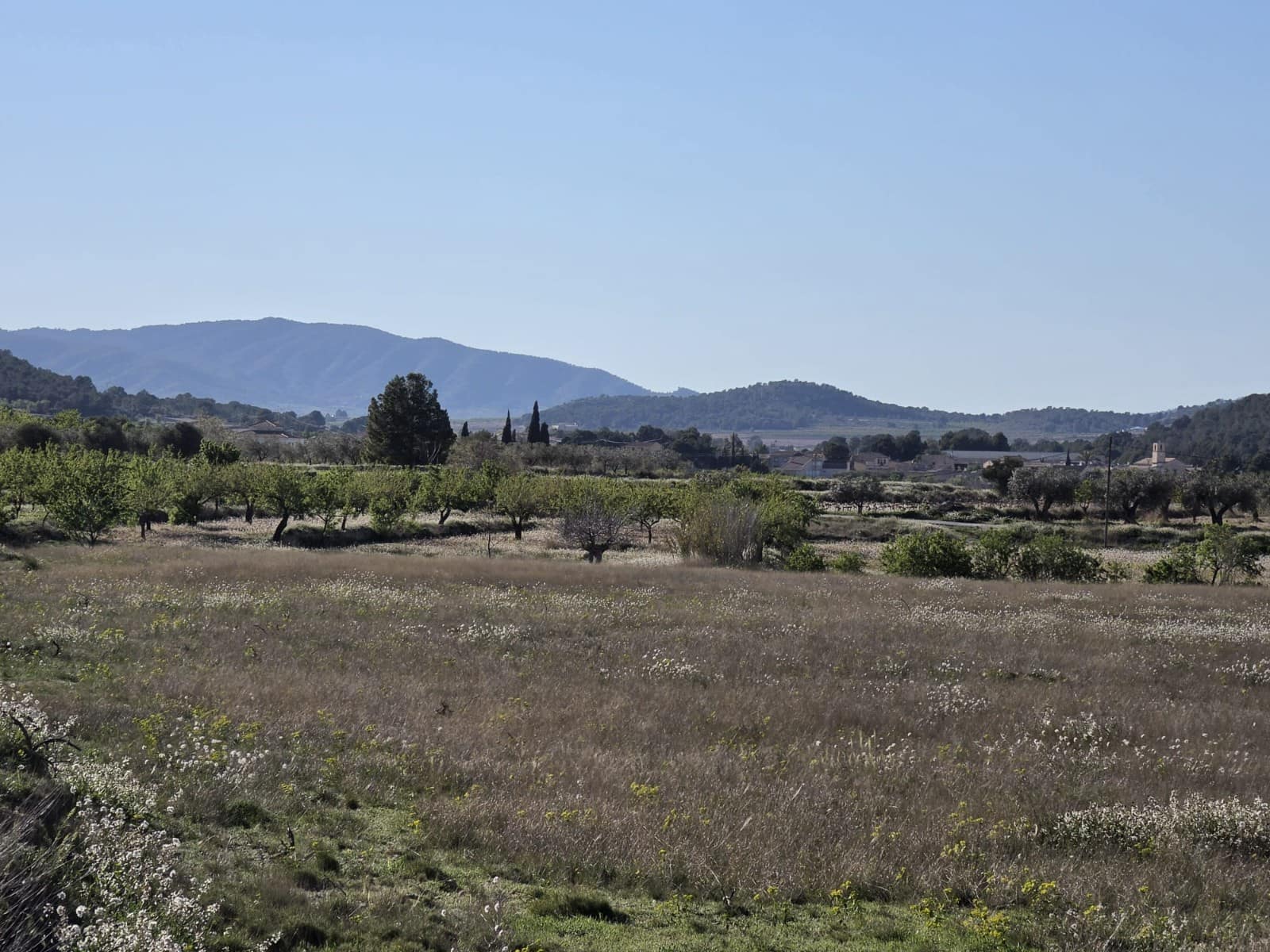 Ubebygd land til salgs i Monovar / Monover - € 44 995 (Ref: 9773366)
