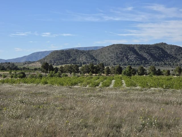 Terreno Non Edificato in vendita in Monóvar / Monóver - 44.995 € (Rif: 9773366)