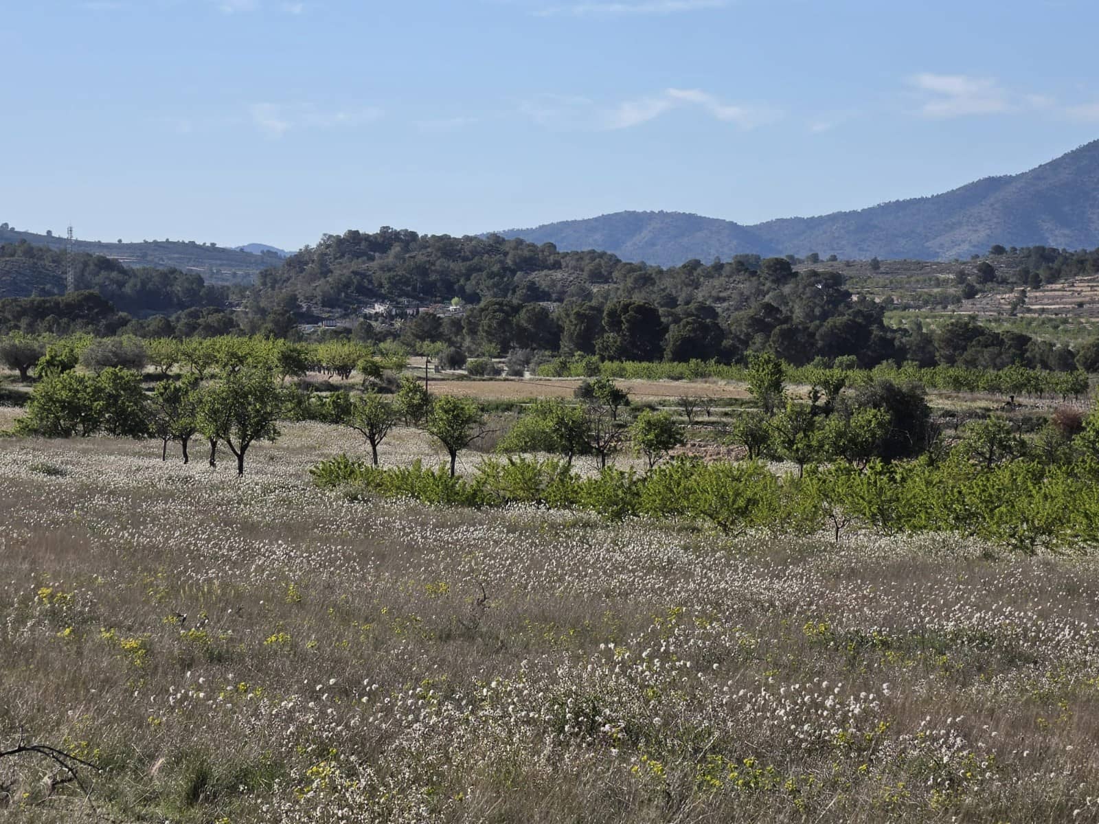 Ubebygd land til salgs i Monovar / Monover - € 44 995 (Ref: 9773366)