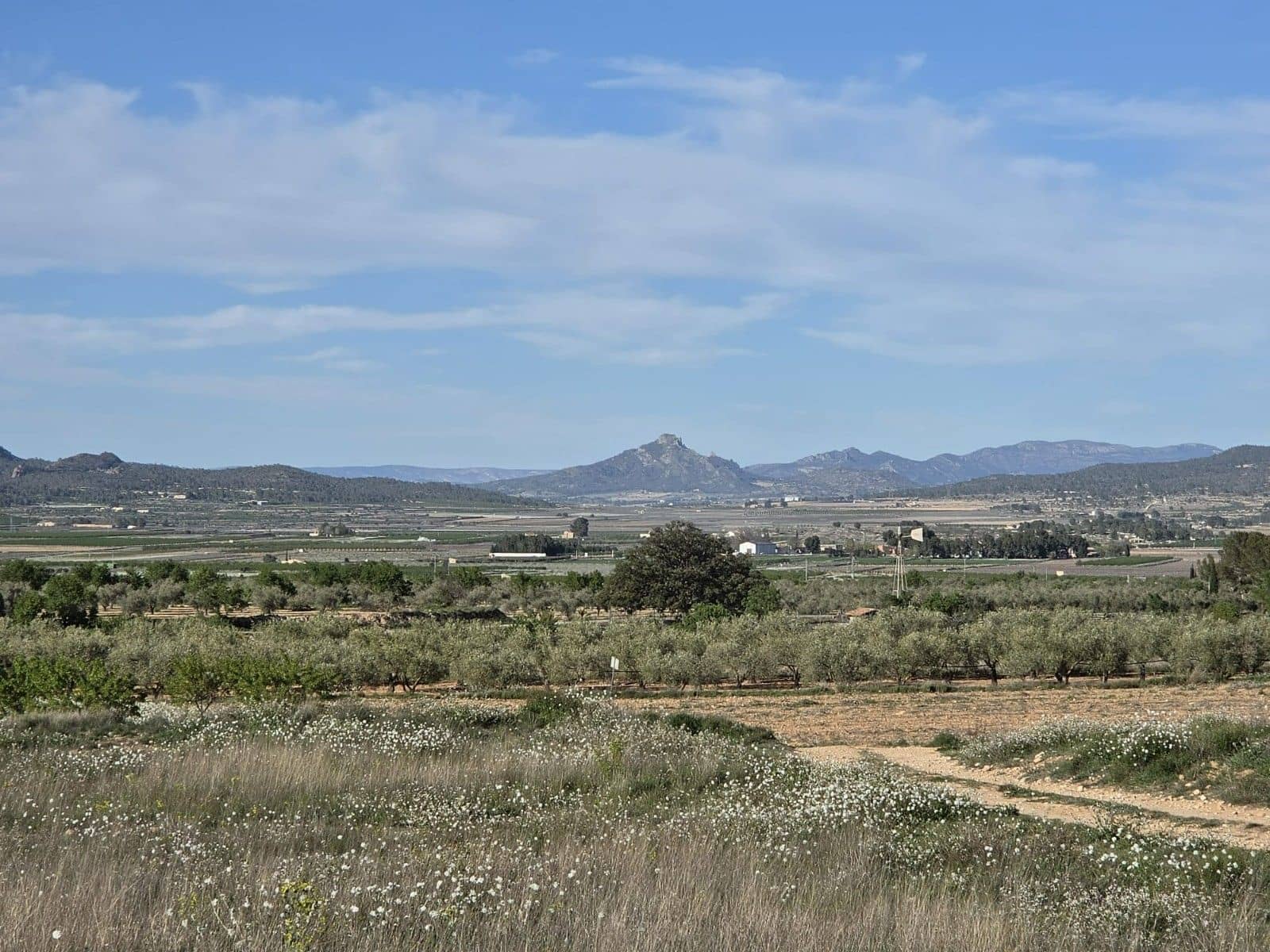 Undeveloped Land for sale in Monovar / Monover - € 44,995 (Ref: 9773366)