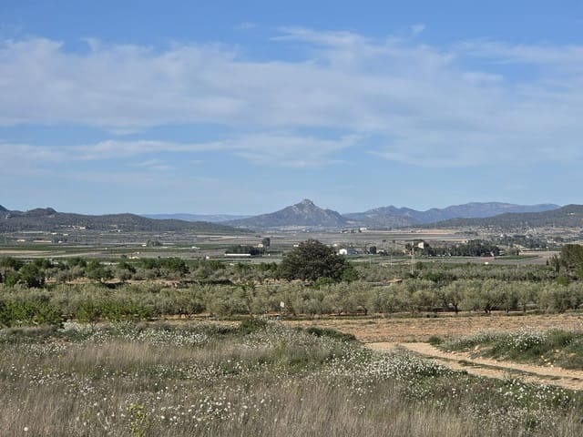 Terre non Aménagée à vendre à Monóvar / Monóver - 44 995 € (Ref: 9773366)